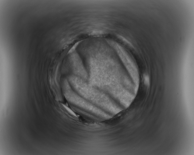 X0000085251348200703301801