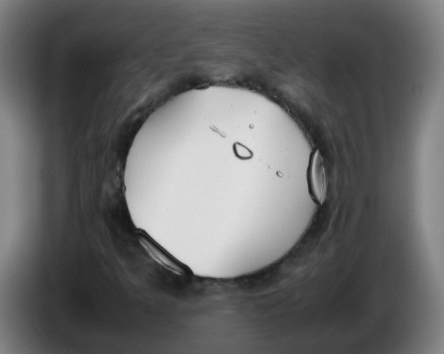 X0000085251349200703301800