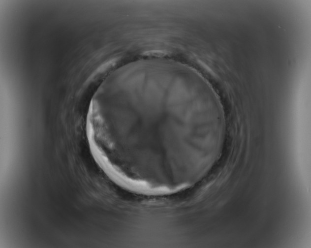 X0000085251351200703301800