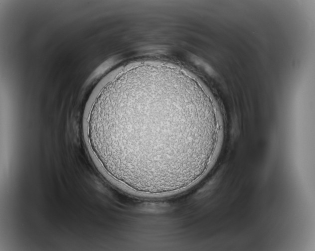 X0000085251354200703301800