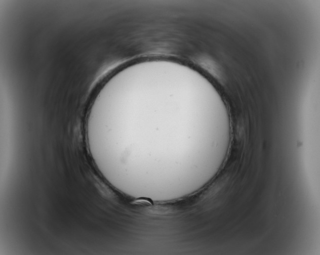 X0000085251356200703301800