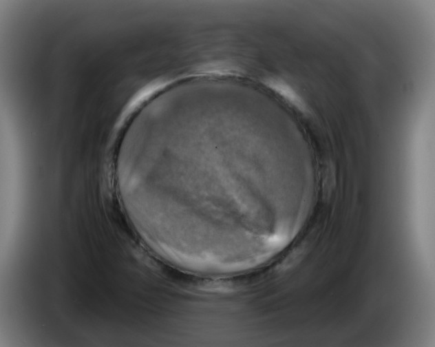 X0000085251358200703301800