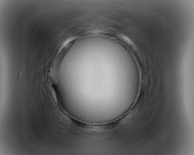 X0000085251361200703301800