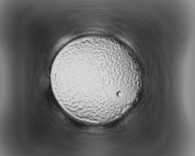 X0000085251363200703301800