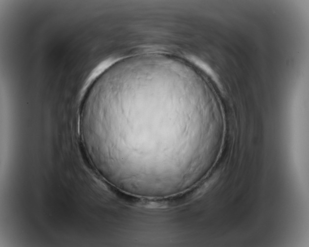 X0000085251365200703301800