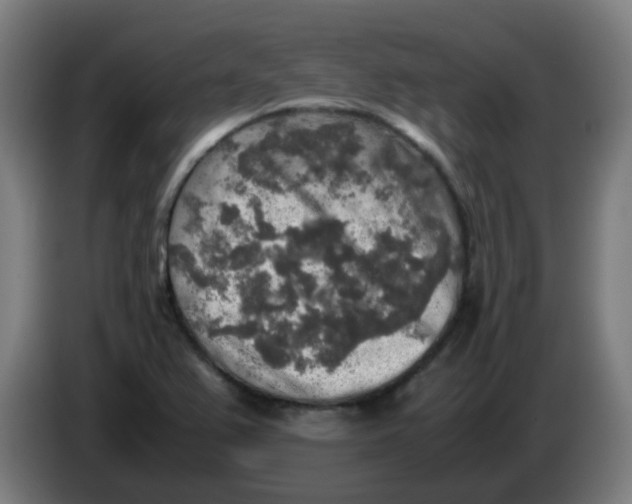 X0000085251367200703301800