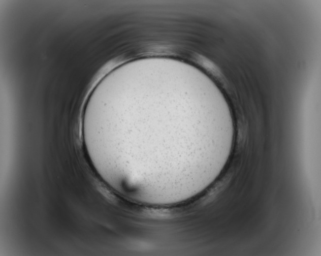 X0000085251370200703301800