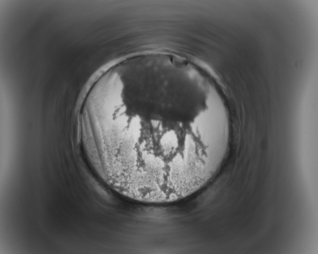 X0000085251371200703301800