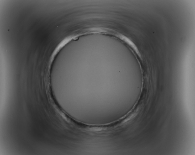 X0000085251373200703301800