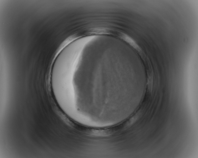 X0000085251378200703301800