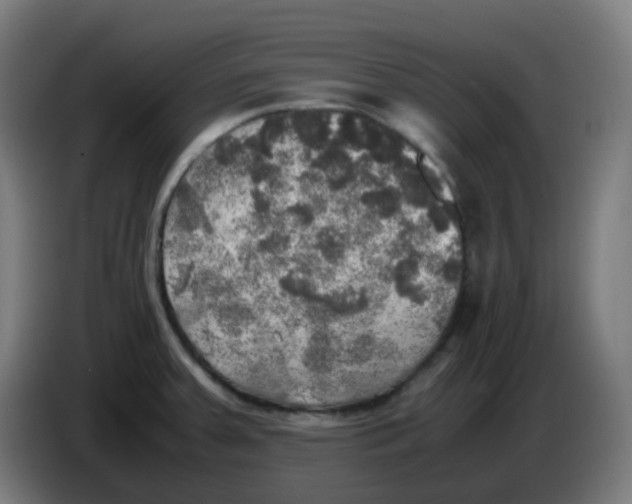 X0000085251379200703301800