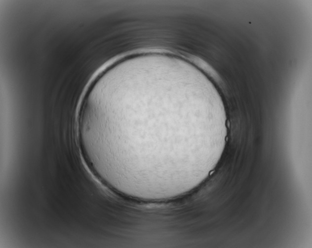 X0000085251380200703301800