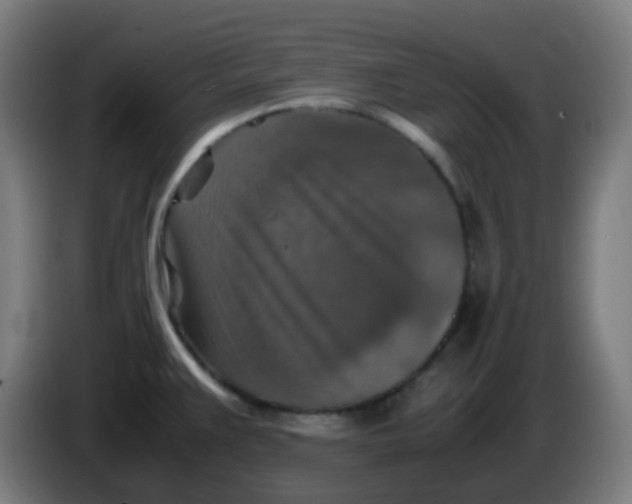 X0000085251383200703301800