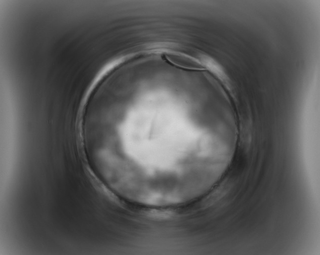 X0000085251384200703301800