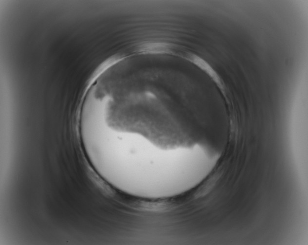 X0000085251386200703301800