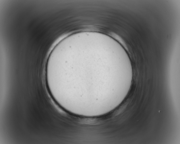 X0000085251387200703301800