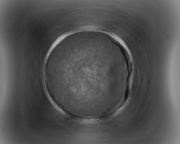 X0000085251389200703301800