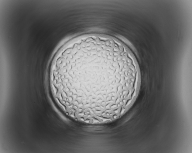 X0000085251391200703301800