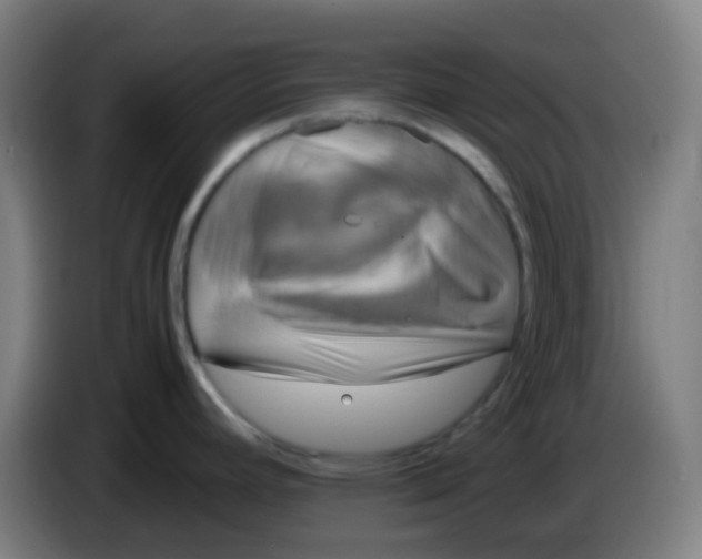 X0000085251392200703301800