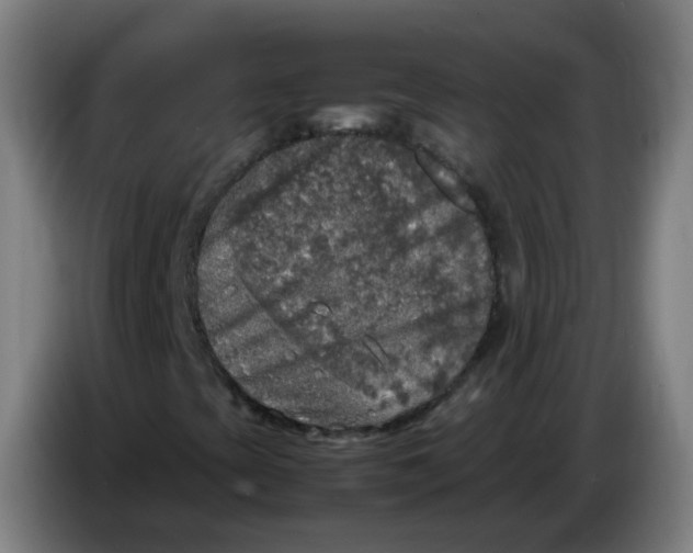 X0000085251393200703301759