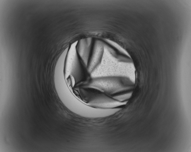 X0000085251394200703301759