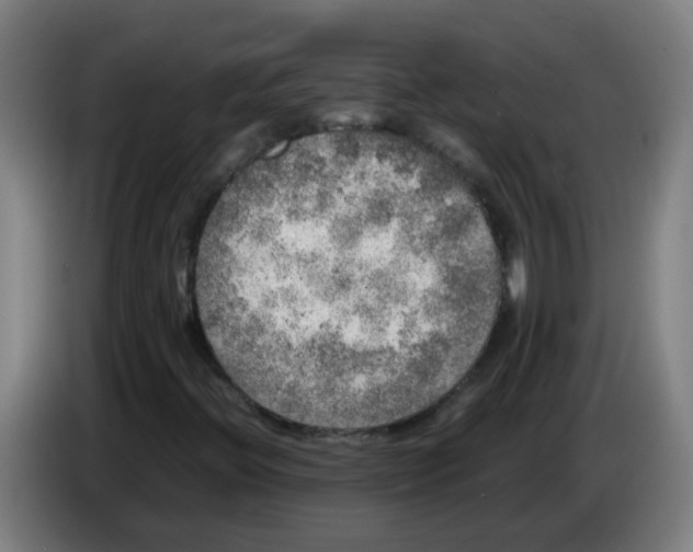 X0000085251396200703301759