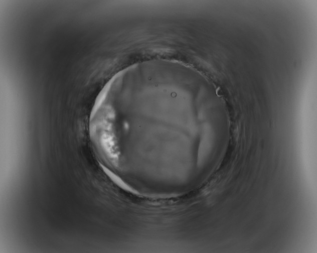 X0000085251397200703301759