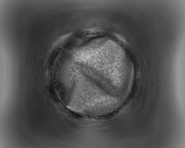 X0000085251398200703301759