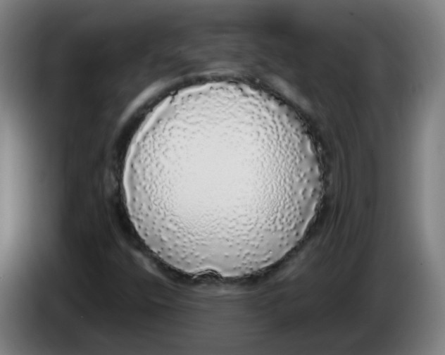 X0000085251400200703301759