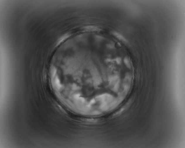 X0000085251401200703301759