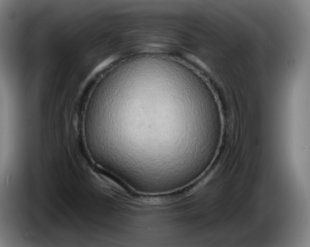 X0000085251402200703301759