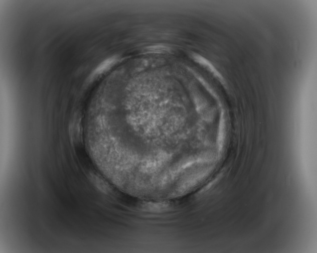 X0000085251403200703301759