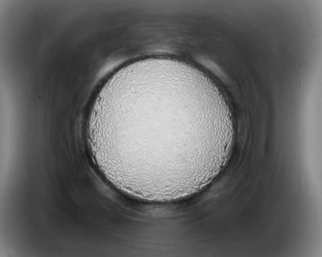 X0000085251404200703301759