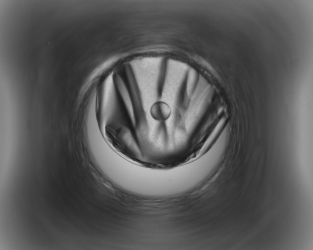 X0000085251406200703301759