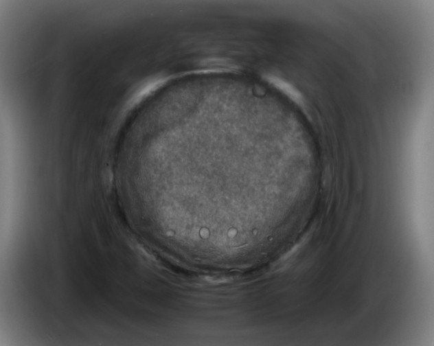 X0000085251407200703301759