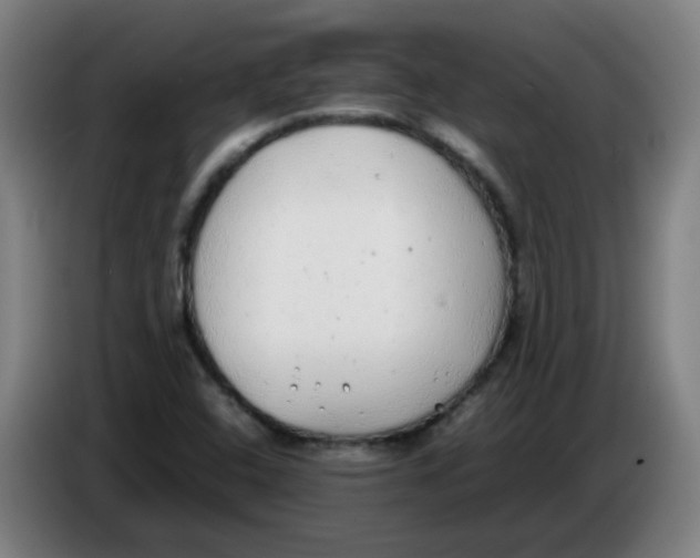 X0000085251408200703301759