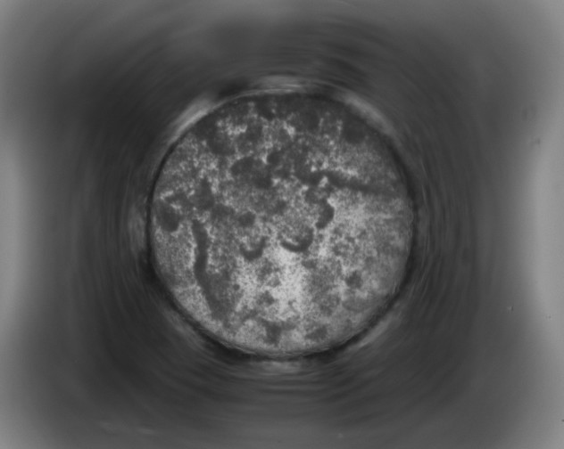 X0000085251409200703301759