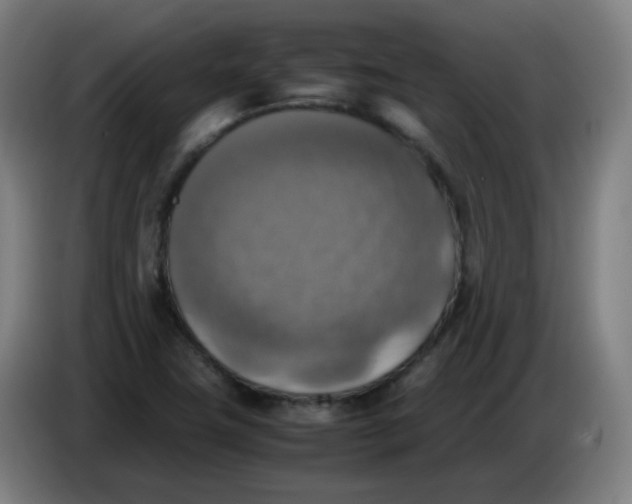 X0000085251411200703301759