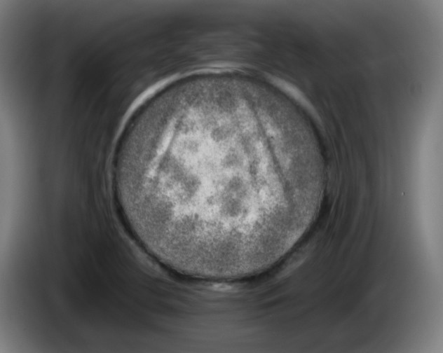 X0000085251412200703301759