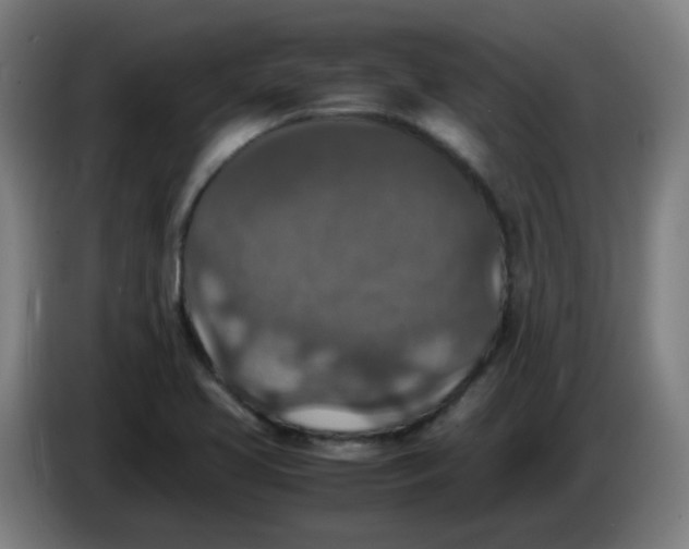 X0000085251413200703301759