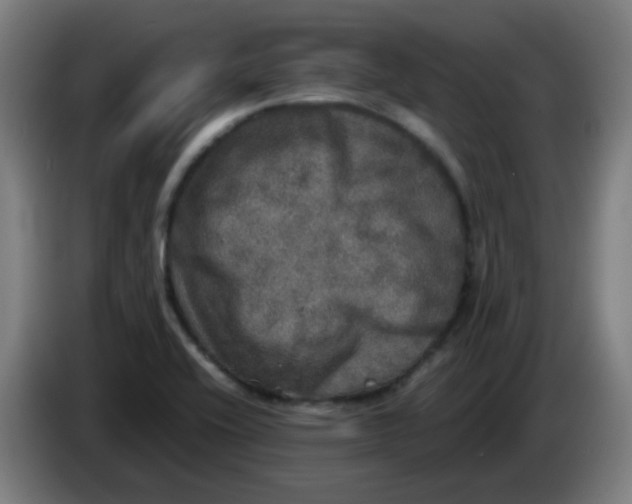 X0000085251416200703301759