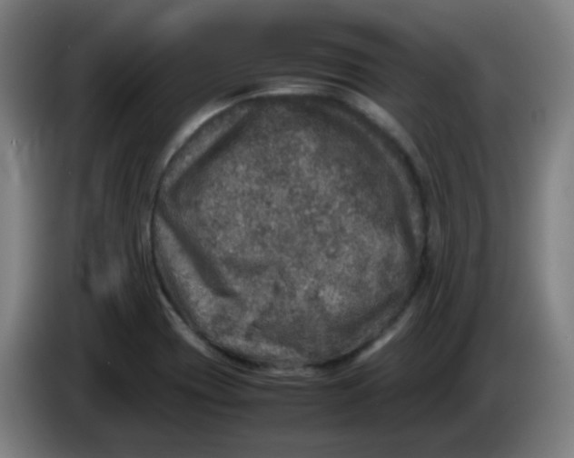 X0000085251417200703301759