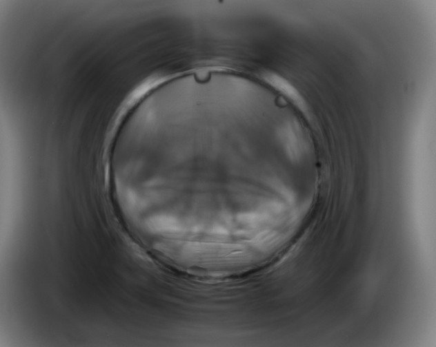 X0000085251419200703301759