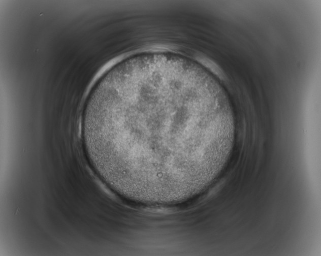 X0000085251420200703301759