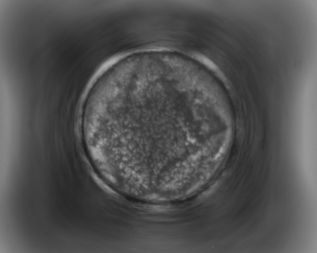 X0000085251421200703301759