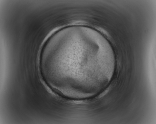 X0000085251422200703301759