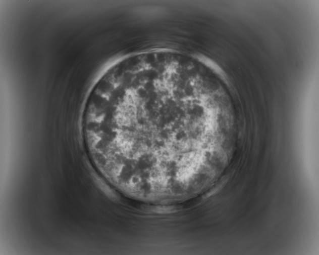 X0000085251423200703301759