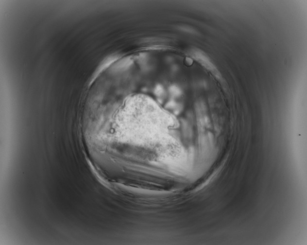 X0000085251425200703301759