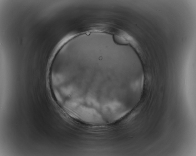 X0000085251427200703301759