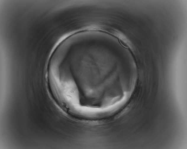 X0000085251428200703301800